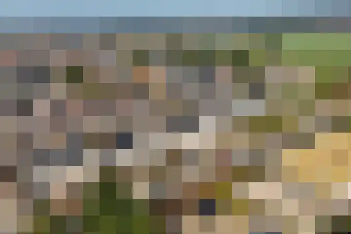 Tabaksweg 51 Elst Ut thumbnail 54