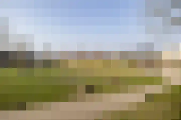 Tabaksweg 51 Elst Ut thumbnail 57