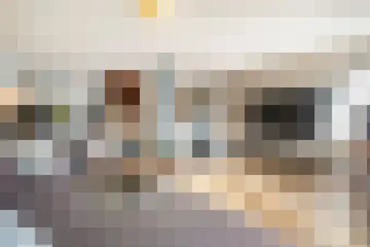 Tabaksweg 51 Elst Ut thumbnail 6