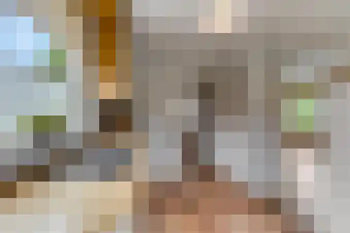 Tabaksweg 6 Elst Ut thumbnail 12