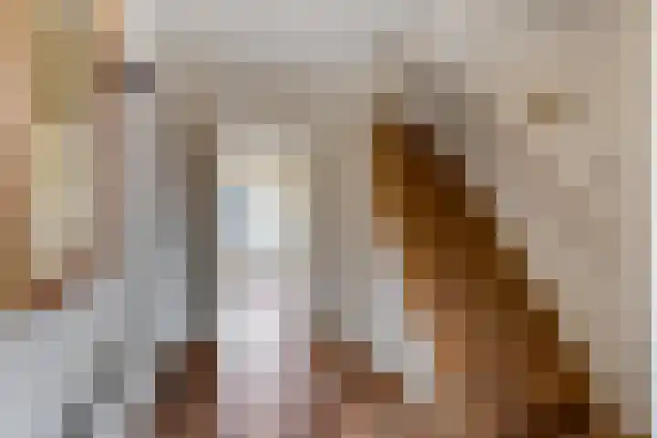 Tabaksweg 6 Elst Ut thumbnail 16