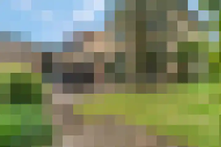 Tabaksweg 6 Elst Ut foto 3