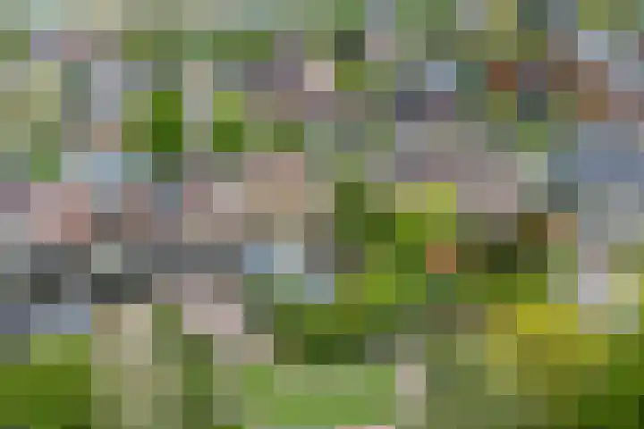 Tabaksweg 6 Elst Ut thumbnail 39