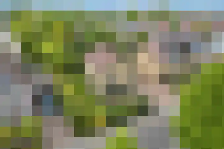 Tabaksweg 6 Elst Ut thumbnail 4