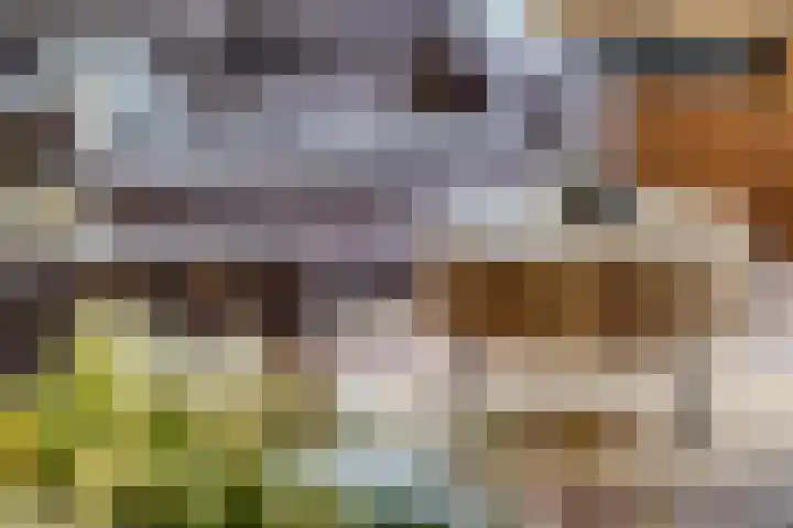 Tabaksweg 6 Elst Ut thumbnail 8