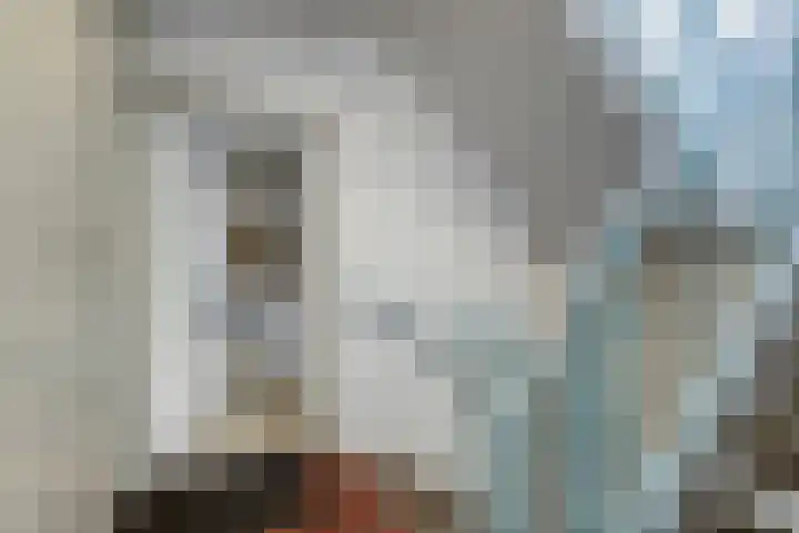 Taborstraat 70 Rotterdam thumbnail 24