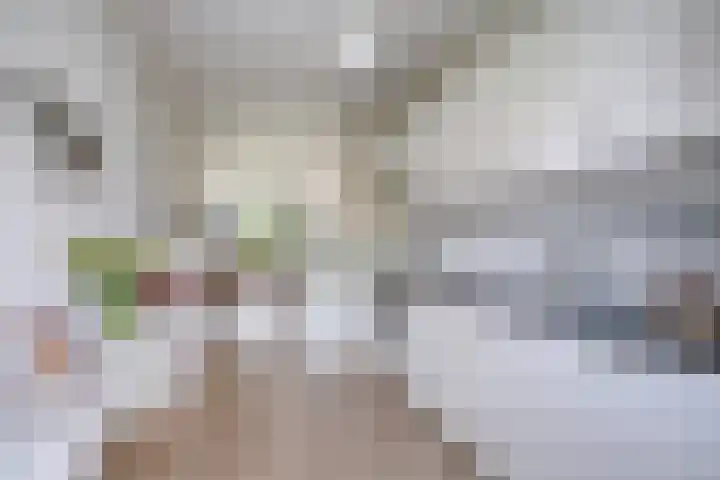 Taborstraat 70 Rotterdam thumbnail 8