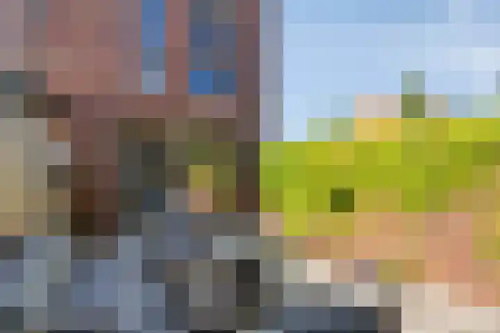 Taftstraat 33 Helmond thumbnail 31