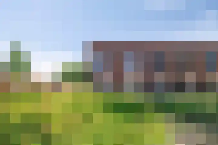 Taftstraat 33 Helmond thumbnail 8