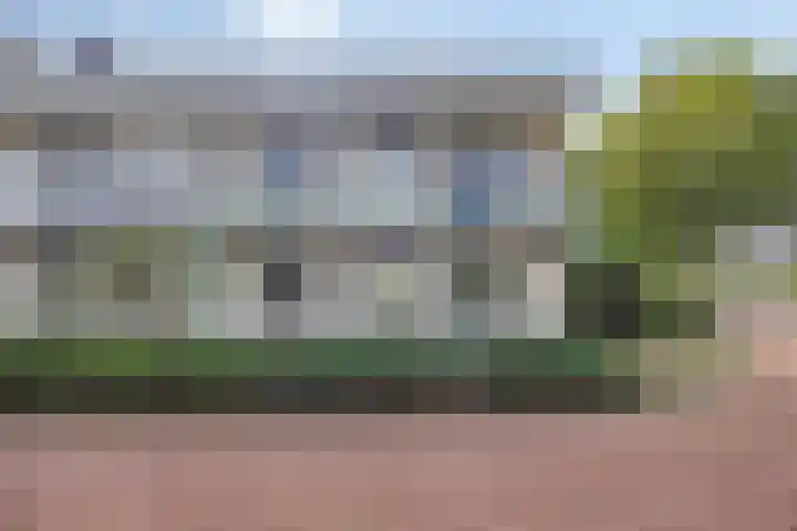 Takeling 2 Zeewolde