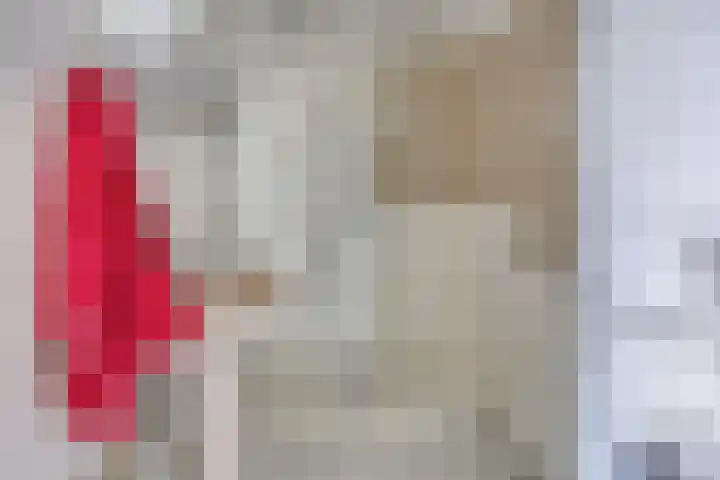 Takeling 2 Zeewolde thumbnail 11