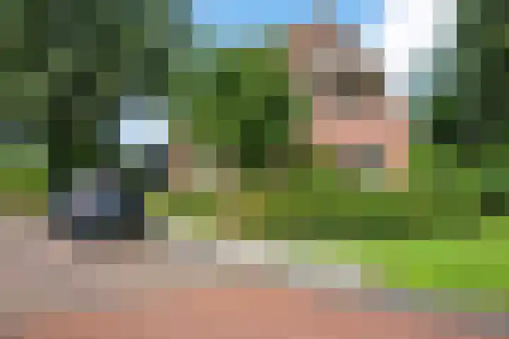 Takeling 2 Zeewolde thumbnail 12