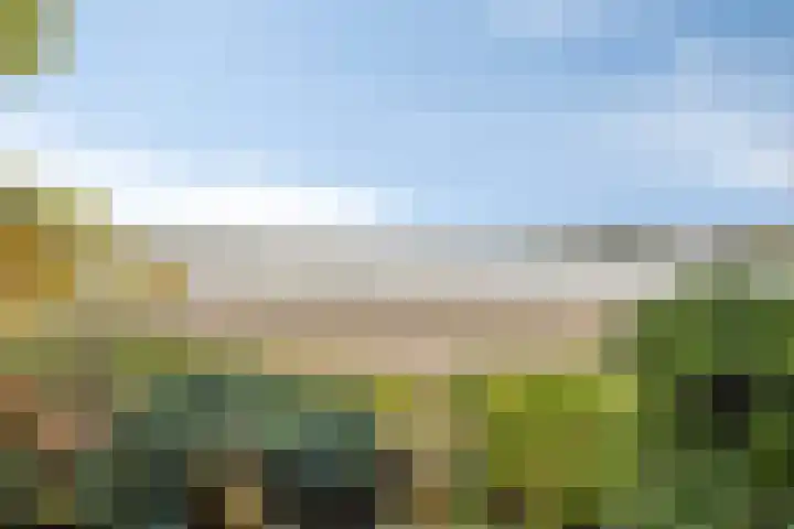 Takeling 2 Zeewolde foto 2