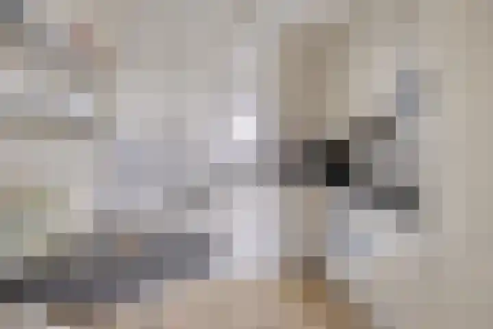 Takeling 2 Zeewolde thumbnail 20