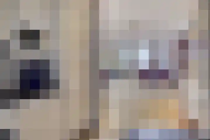 Takeling 2 Zeewolde thumbnail 21