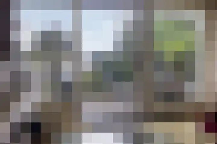 Takeling 2 Zeewolde thumbnail 23