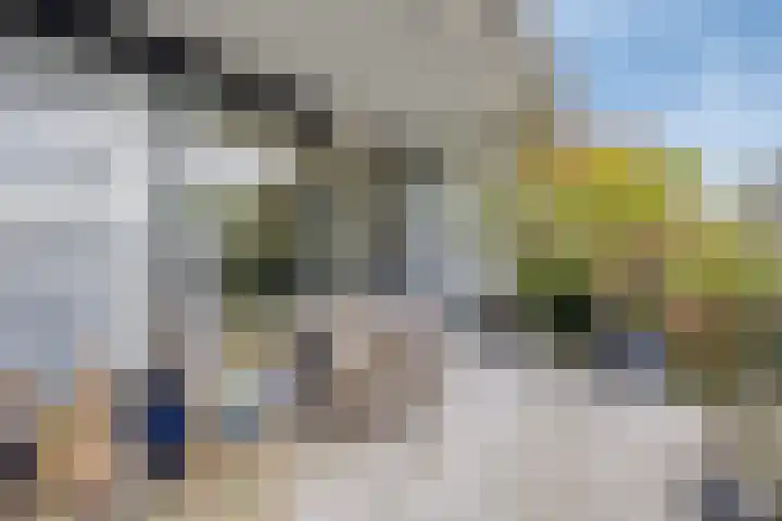 Takeling 2 Zeewolde thumbnail 24