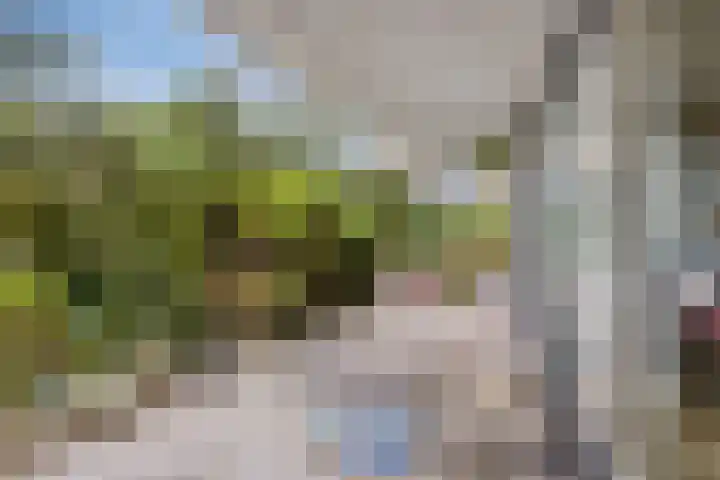 Takeling 2 Zeewolde thumbnail 25