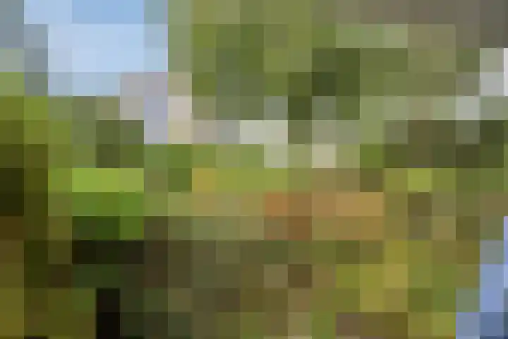 Takeling 2 Zeewolde thumbnail 26