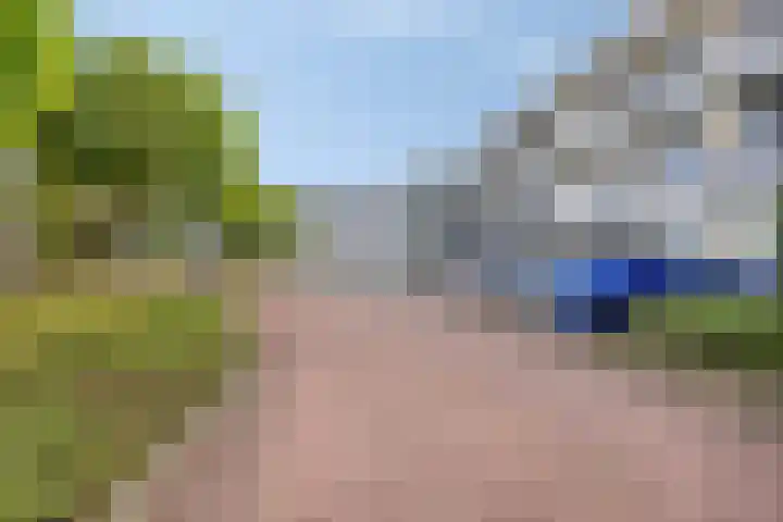 Takeling 2 Zeewolde thumbnail 27