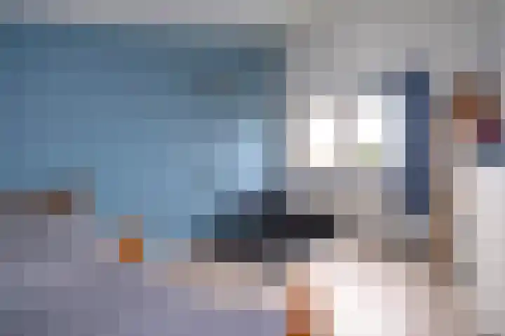 Takeling 2 Zeewolde thumbnail 28