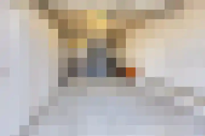 Takeling 2 Zeewolde thumbnail 29