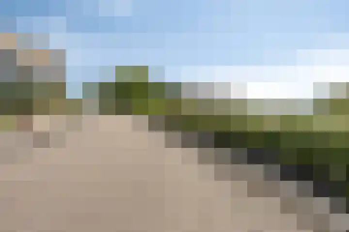 Takeling 2 Zeewolde thumbnail 30