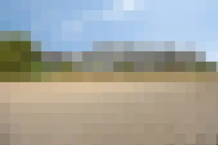 Takeling 2 Zeewolde thumbnail 31