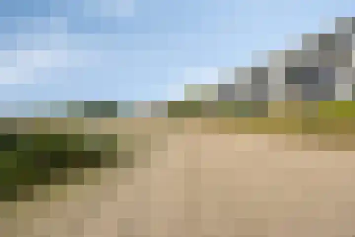Takeling 2 Zeewolde thumbnail 33