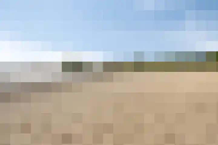 Takeling 2 Zeewolde thumbnail 34