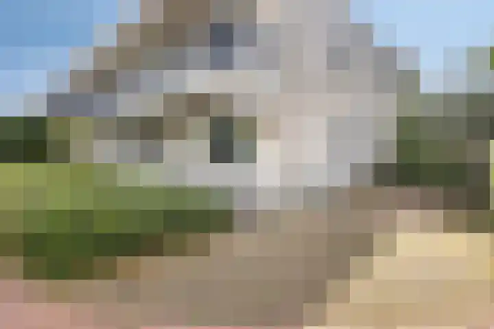 Takeling 2 Zeewolde thumbnail 4