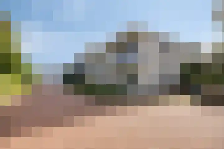 Takeling 2 Zeewolde thumbnail 5