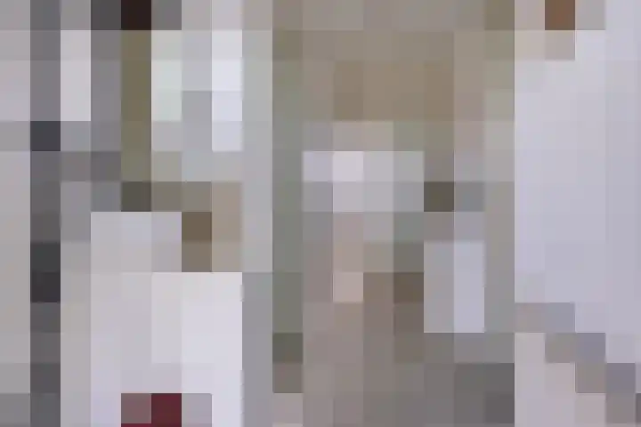 Takeling 2 Zeewolde thumbnail 6