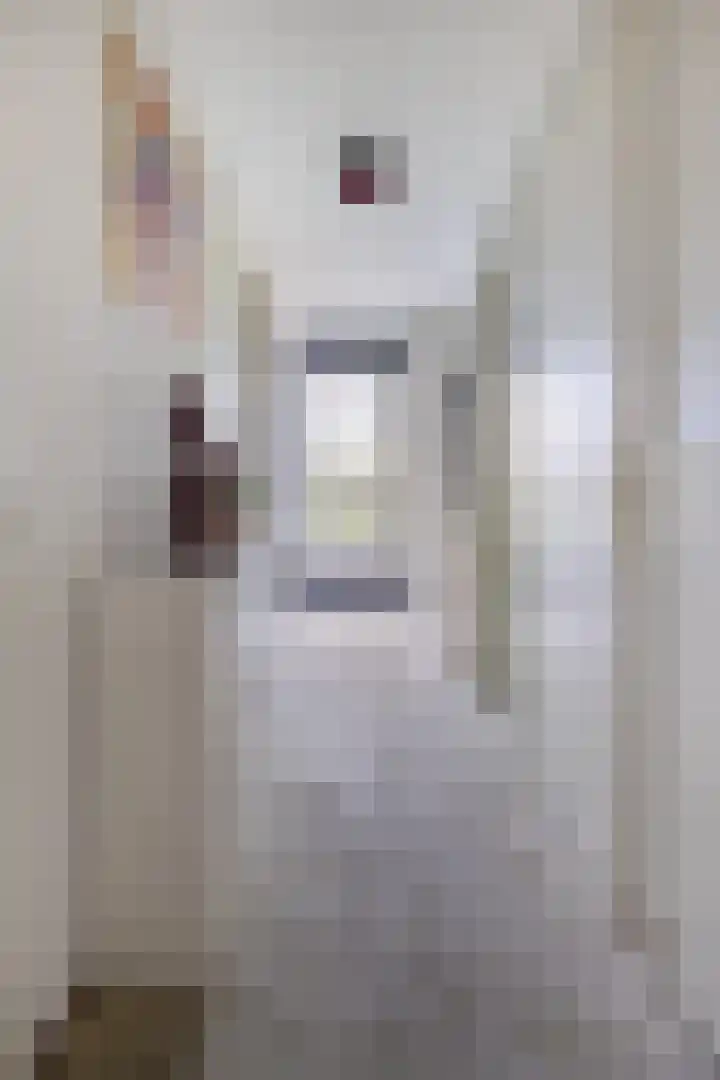 Takeling 2 Zeewolde thumbnail 7