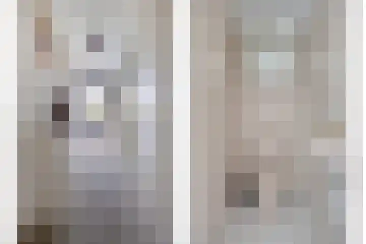 Takeling 2 Zeewolde thumbnail 8