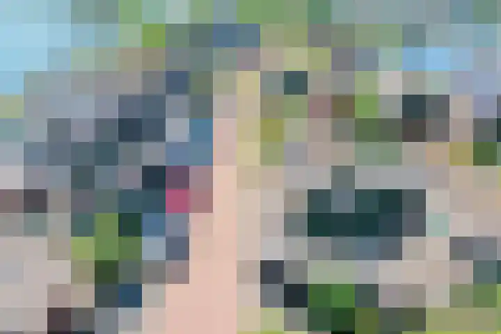 Takeling 53 Zeewolde thumbnail 31