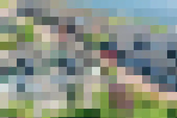 Takeling 53 Zeewolde thumbnail 32