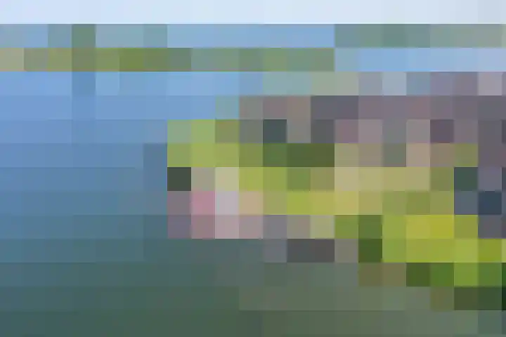 Takeling 53 Zeewolde thumbnail 34