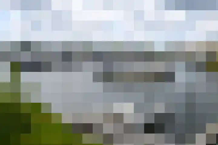 Takeling 53 Zeewolde thumbnail 35