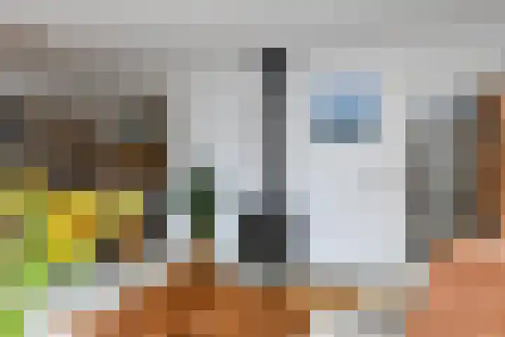 Takeling 53 Zeewolde thumbnail 4