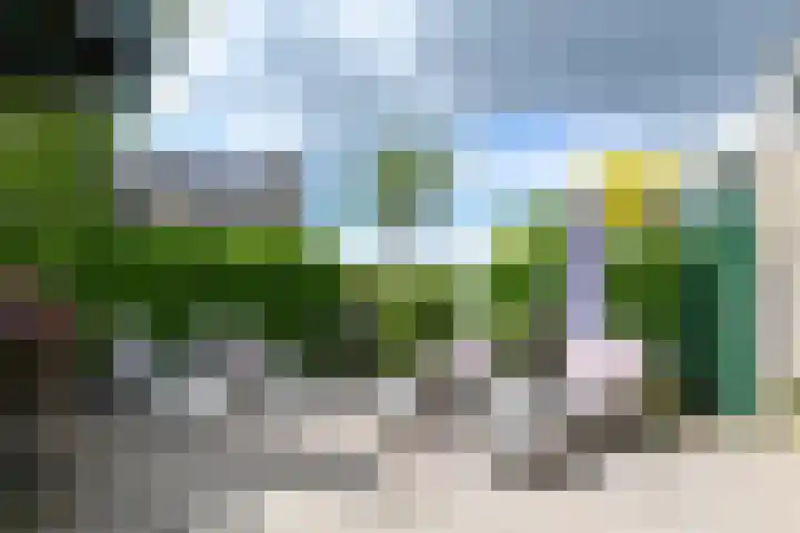 Takeling 53 Zeewolde thumbnail 41