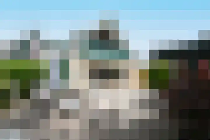 Takeling 53 Zeewolde thumbnail 42