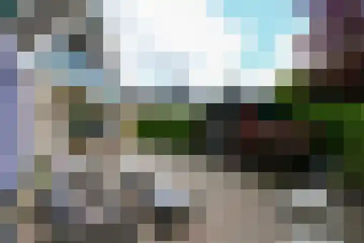 Takeling 53 Zeewolde thumbnail 43