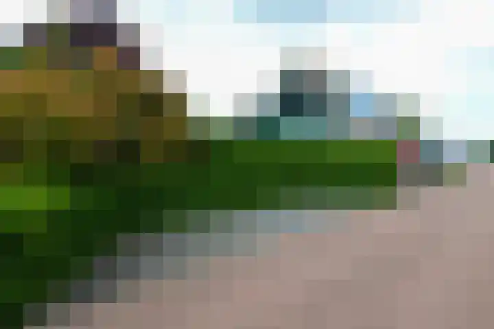 Takeling 53 Zeewolde thumbnail 44