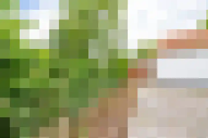 Takenslaan 2 Appingedam thumbnail 18