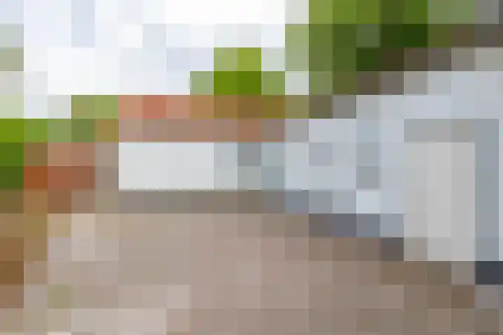 Takenslaan 2 Appingedam thumbnail 20