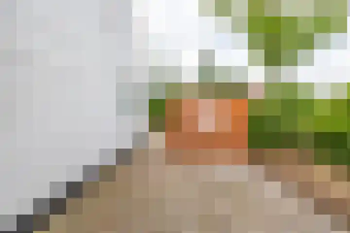 Takenslaan 2 Appingedam thumbnail 21