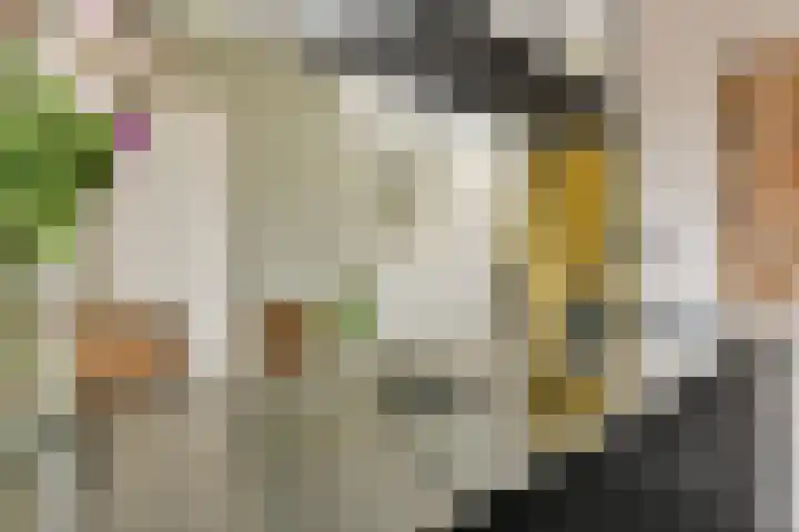 Talbotstraat 213 Amsterdam thumbnail 19