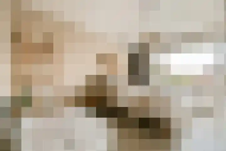 Talbotstraat 213 Amsterdam thumbnail 24