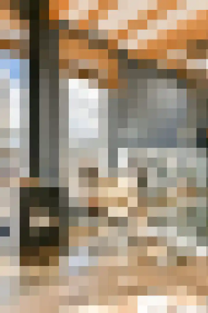 Talbotstraat 213 Amsterdam thumbnail 31